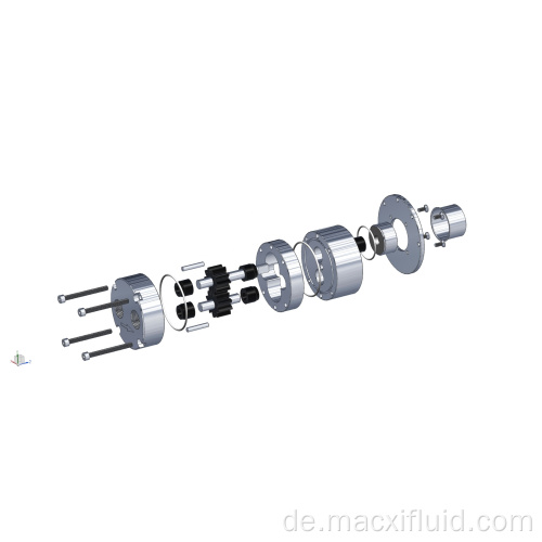 Explosionssicheres Wechselstrom-Magnet-Zahnradpumpe